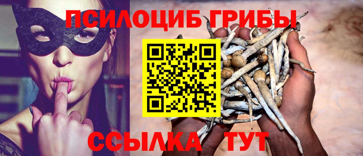 Псилоцибиновые грибы ЛСД  Вход с VPN  Благовещенск  Псилоцибиновые грибы Cubensis 