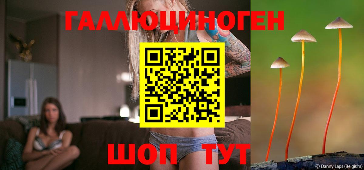 Галлюциногенные грибы GOLDEN TEACHER Благовещенск